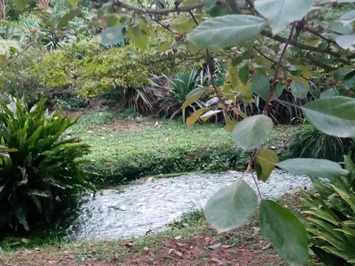 مبيت وإفطار سرمونيتا La Bella Ninfa المظهر الخارجي الصورة