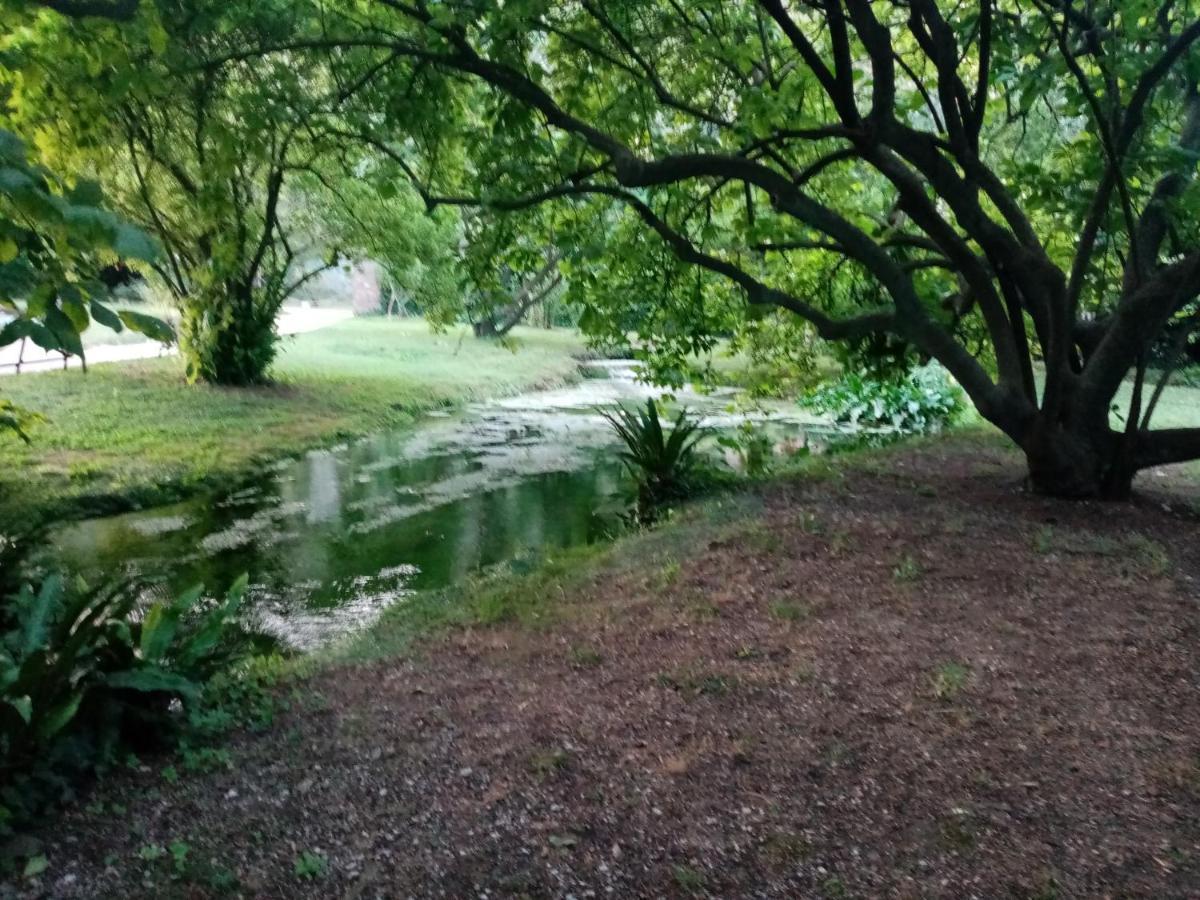 مبيت وإفطار سرمونيتا La Bella Ninfa المظهر الخارجي الصورة